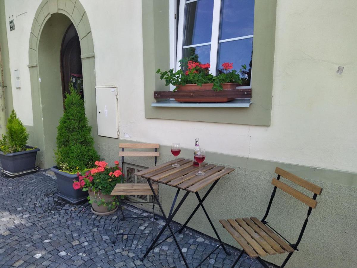 Apartmany Zatec Esterno foto