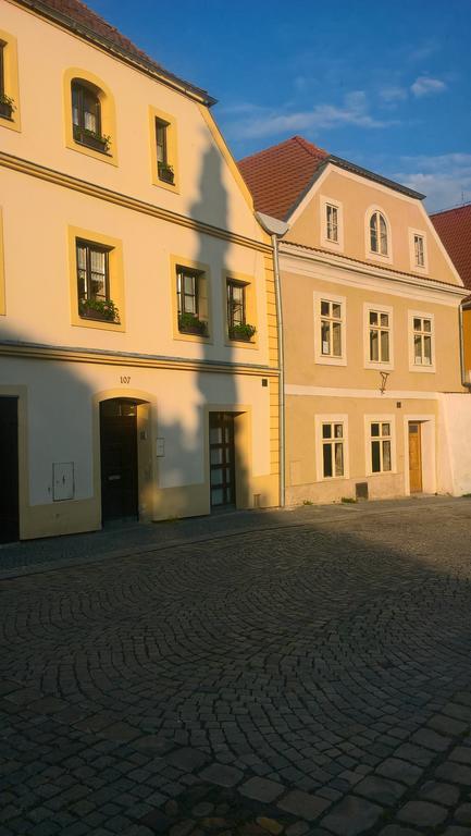 Apartmany Zatec Esterno foto